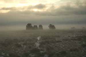 andy anderson coast starlight foggy image